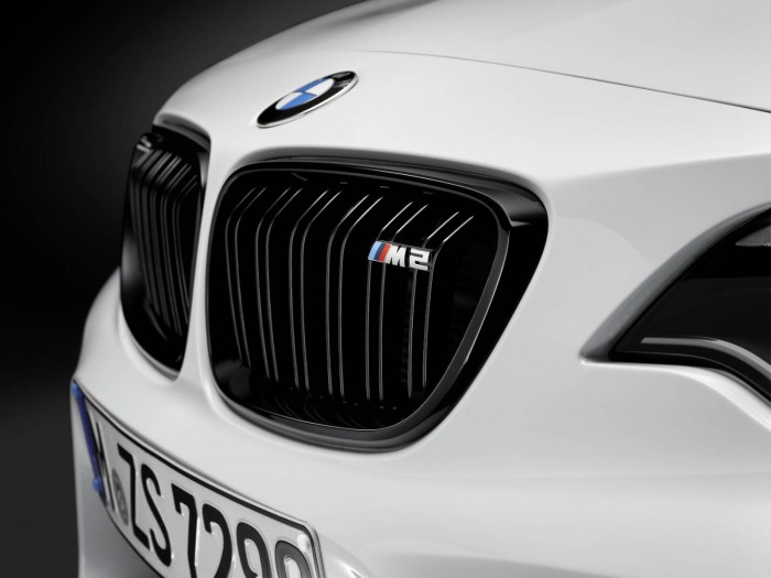 BMW M2 Performance Parts - Front Grille - carwitter