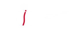 Wings For Life Logo